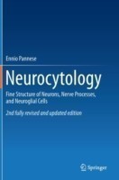 Neurocytology