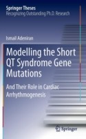 Modelling the Short QT Syndrome Gene Mutations