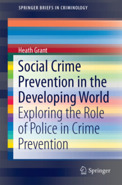 Social Crime Prevention in the Developing World