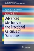 Advanced Methods in the Fractional Calculus of Variations