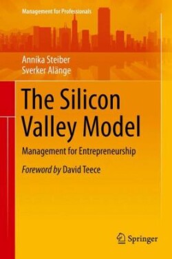 Silicon Valley Model