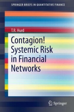 Contagion! Systemic Risk in Financial Networks