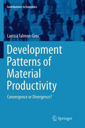 Development Patterns of Material Productivity