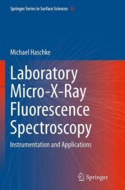 Laboratory Micro-X-Ray Fluorescence Spectroscopy