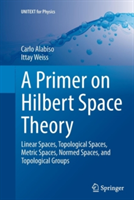 Primer on Hilbert Space Theory