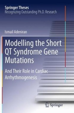 Modelling the Short QT Syndrome Gene Mutations