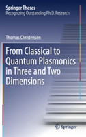 From Classical to Quantum Plasmonics in Three and Two Dimensions