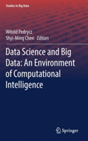 Data Science and Big Data: An Environment of Computational Intelligence