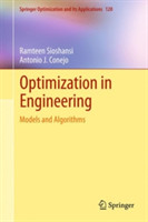 Optimization in Engineering