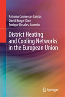 District Heating and Cooling Networks in the European Union