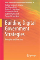 Building Digital Government Strategies