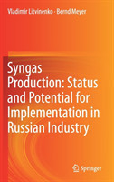 Syngas Production: Status and Potential for Implementation in Russian Industry