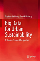 Big Data for Urban Sustainability