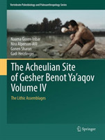 Acheulian Site of Gesher Benot Ya‘aqov Volume IV