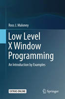 Low Level X Window Programming