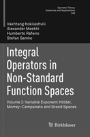 Integral Operators in Non-Standard Function Spaces