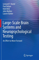 Large-Scale Brain Systems and Neuropsychological Testing