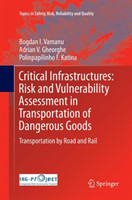 Critical Infrastructures: Risk and Vulnerability Assessment in Transportation of Dangerous Goods