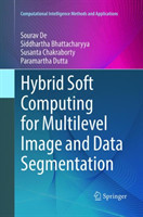 Hybrid Soft Computing for Multilevel Image and Data Segmentation