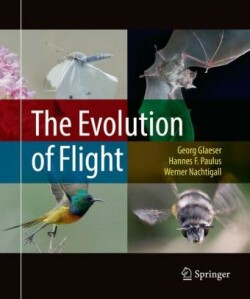 Evolution of Flight