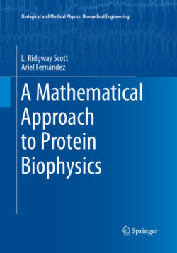 Mathematical Approach to Protein Biophysics