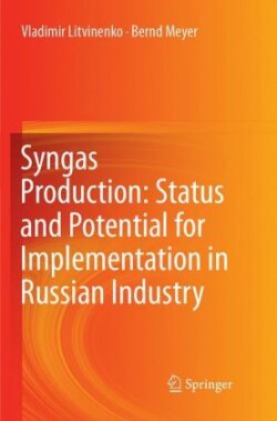 Syngas Production: Status and Potential for Implementation in Russian Industry