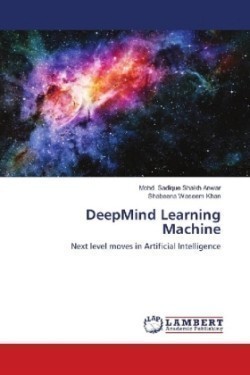 DeepMind Learning Machine