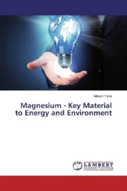 Magnesium - Key Material to Energy and Environment
