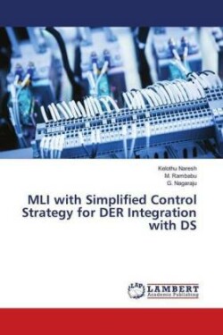 MLI with Simplified Control Strategy for DER Integration with DS