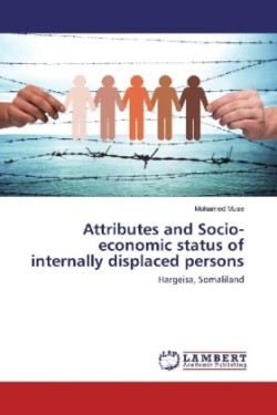 Attributes and Socio-economic status of internally displaced persons