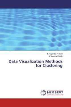 Data Visualization Methods for Clustering