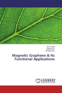 Magnetic Graphene & Its Functional Applications