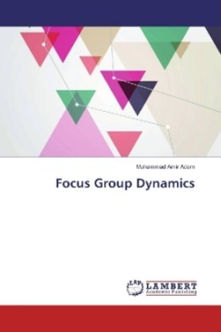 Focus Group Dynamics