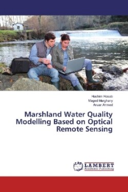 Marshland Water Quality Modelling Based on Optical Remote Sensing