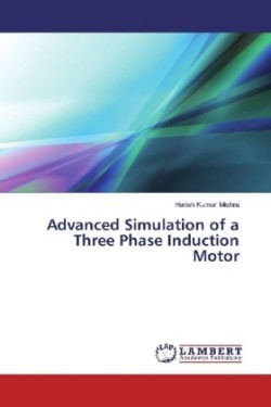 Advanced Simulation of a Three Phase Induction Motor