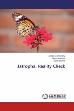 Jatropha, Reality Check