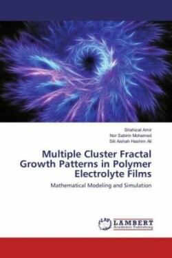 Multiple Cluster Fractal Growth Patterns in Polymer Electrolyte Films