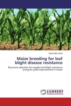 Maize breeding for leaf blight disease resistance