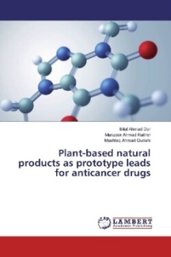 Plant-based natural products as prototype leads for anticancer drugs