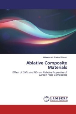 Ablative Composite Materials