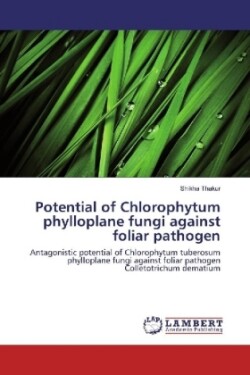 Potential of Chlorophytum phylloplane fungi against foliar pathogen