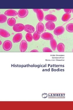 Histopathological Patterns and Bodies