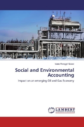 Social and Environmental Accounting