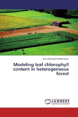 Modeling leaf chlorophyll content in heterogeneous forest