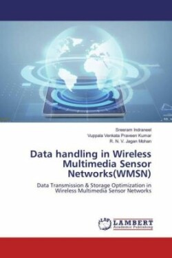 Data handling in Wireless Multimedia Sensor Networks(WMSN)