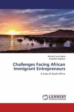 Challenges Facing African Immigrant Entrepreneurs