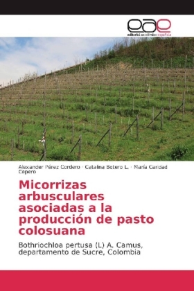 Micorrizas arbusculares asociadas a la producción de pasto colosuana