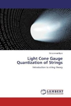 Light Cone Gauge Quantization of Strings