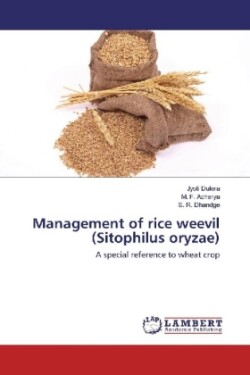 Management of rice weevil (Sitophilus oryzae)