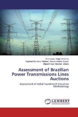 Assessment of Brazilian Power Transmissions Lines Auctions